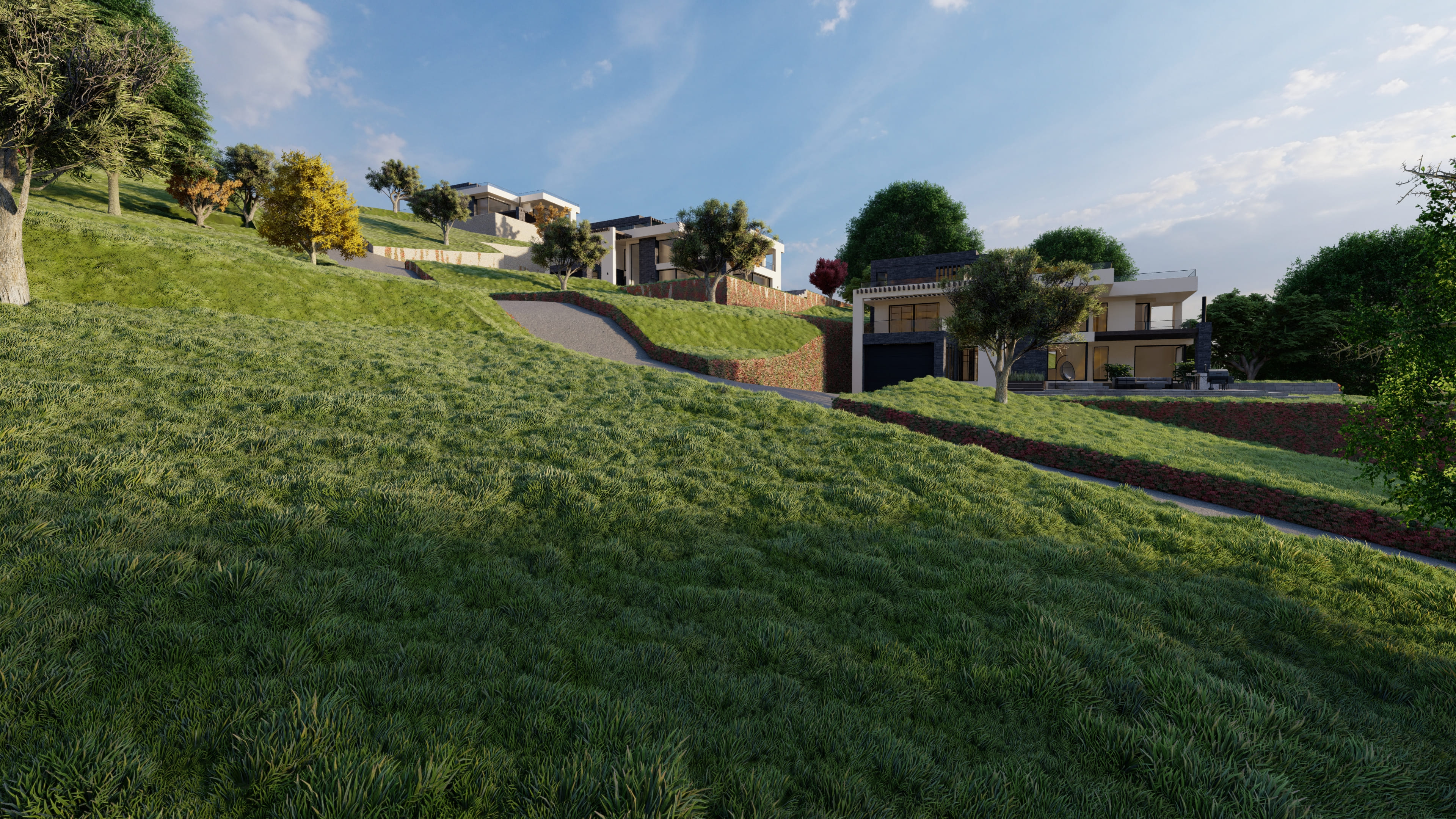 Graphic Design Project